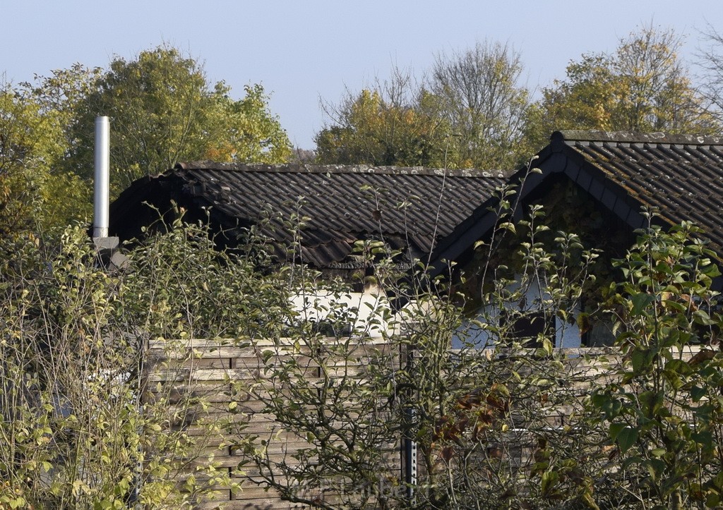 Feuer 1 brannten 3 Lauben Koeln Fuehlingen Kriegerhofstr P093.JPG - Miklos Laubert